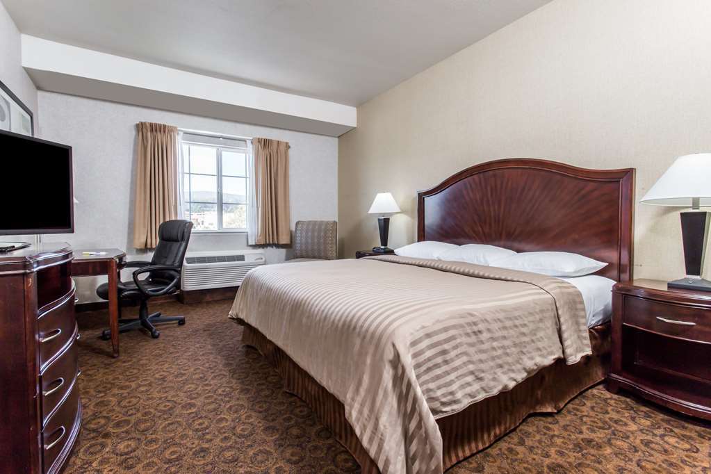 Hotel 1550 圣布鲁诺 客房 照片