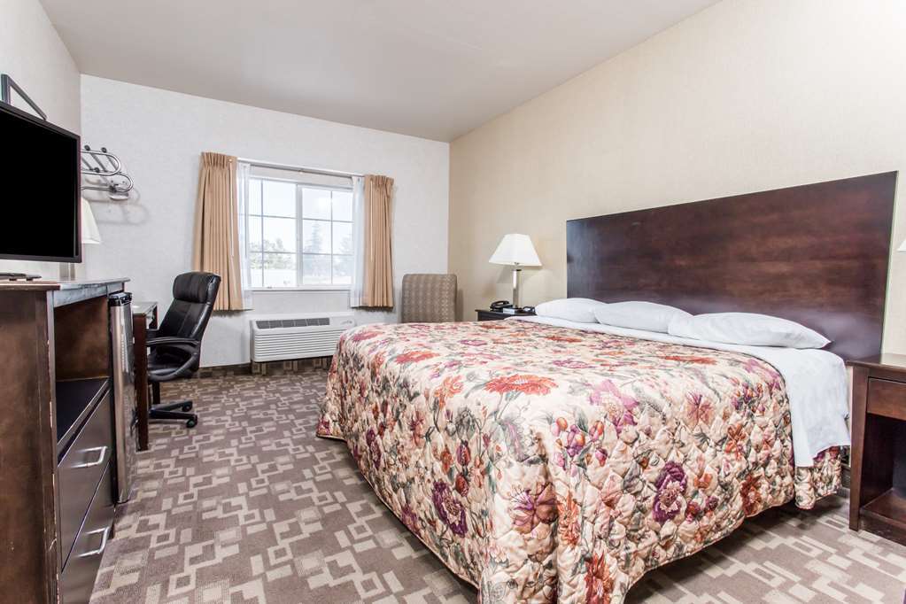 Hotel 1550 圣布鲁诺 客房 照片